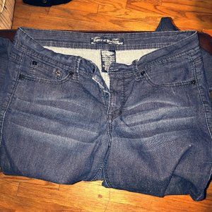 NWOT Torrid's Jeans
